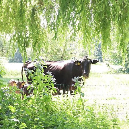 Ferienhaus Heinrichs Cappeler Niederstrich ภายนอก รูปภาพ
